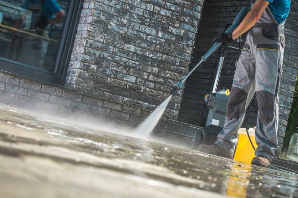 Best Dumpster Area Cleaning  in Hasley Nyon, CA
