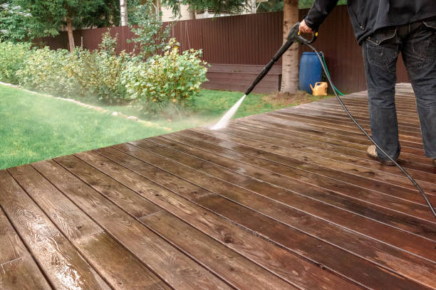 Best Dumpster Area Cleaning  in Hasley Nyon, CA
