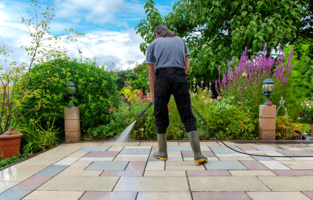 Professional Pressure Washing Services in Hasley Canyon, CA